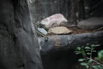 DSC_6844.JPG